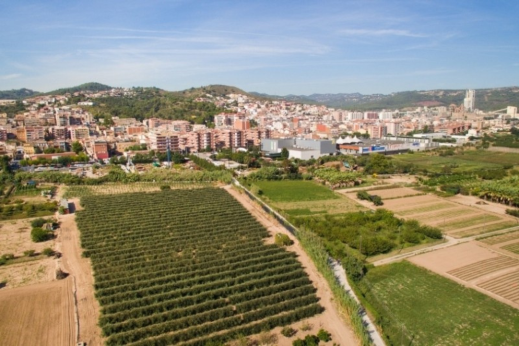 clases de bachata en sant vicenç dels horts